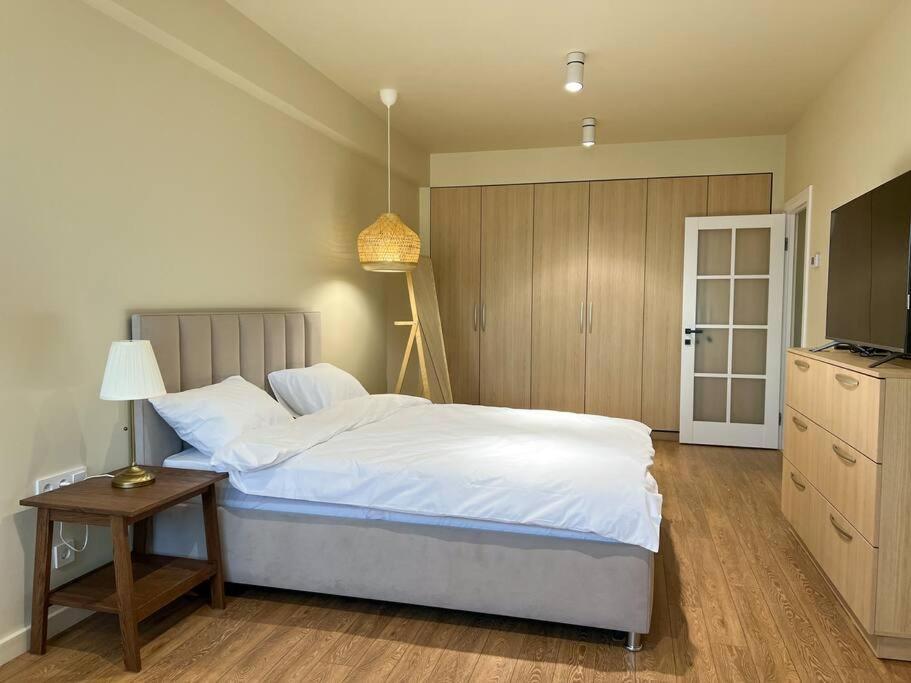 2 Bedroom On Ismail Corner Stefan Cel Mare, New Apartment, Chisinau Center! ภายนอก รูปภาพ
